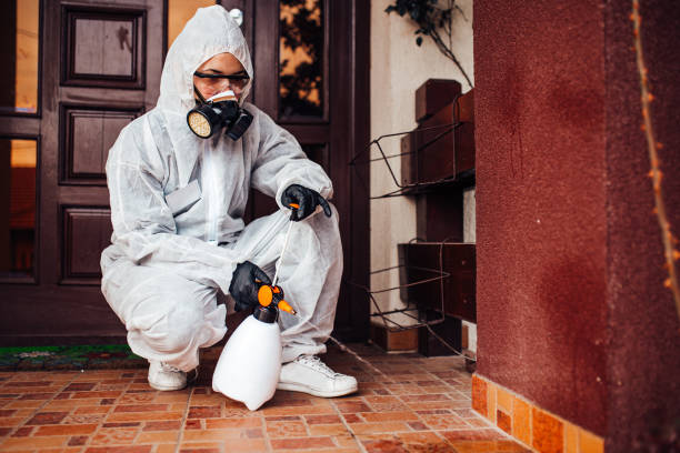 Attic and Crawl Space Rodent Treatment in Mulberry